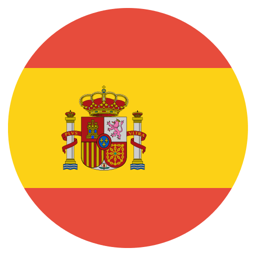 Selected language flag